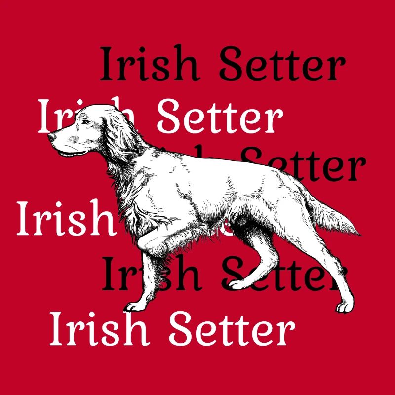 Irish Setter ci-dessus