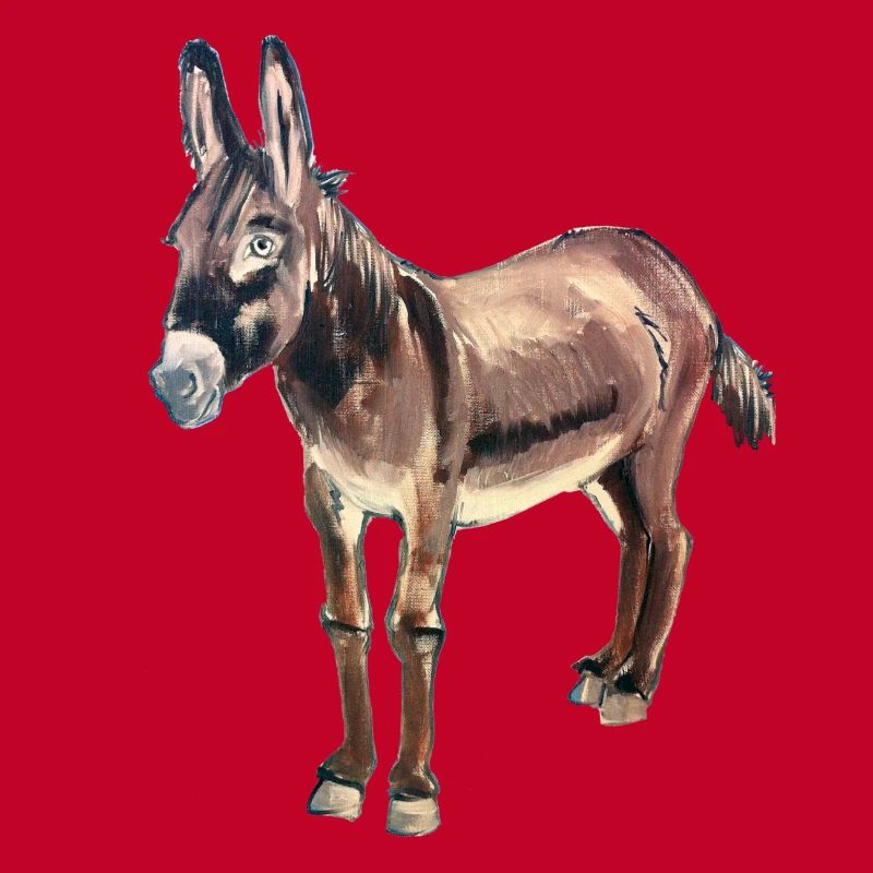 âne