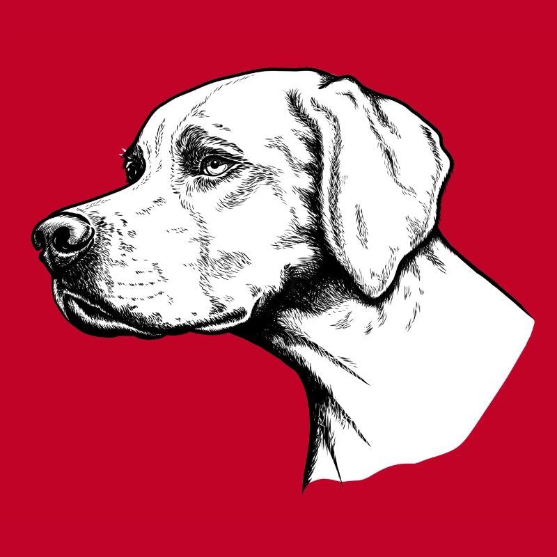 Pointer Portrait