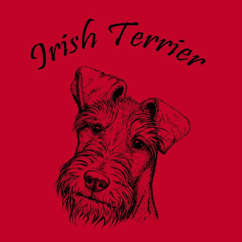 Irish Terrier Portrait