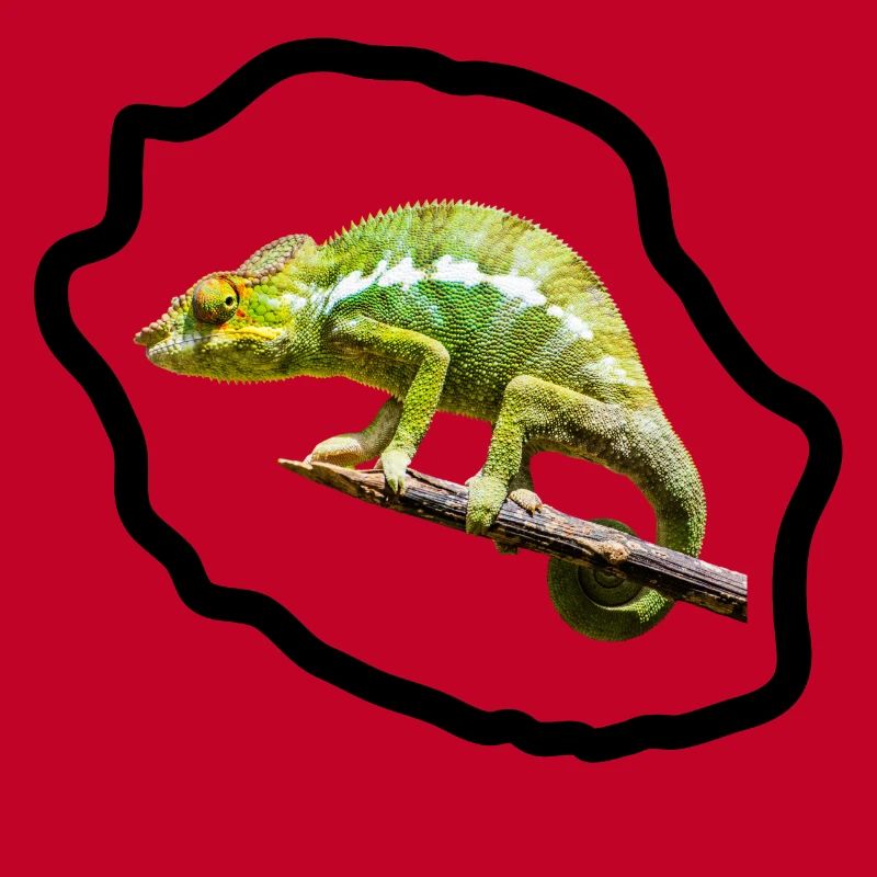 Chameleon vert sur branche