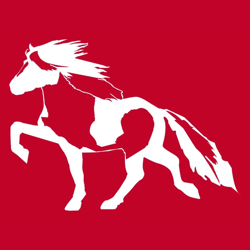 Schecke Islandpferd 