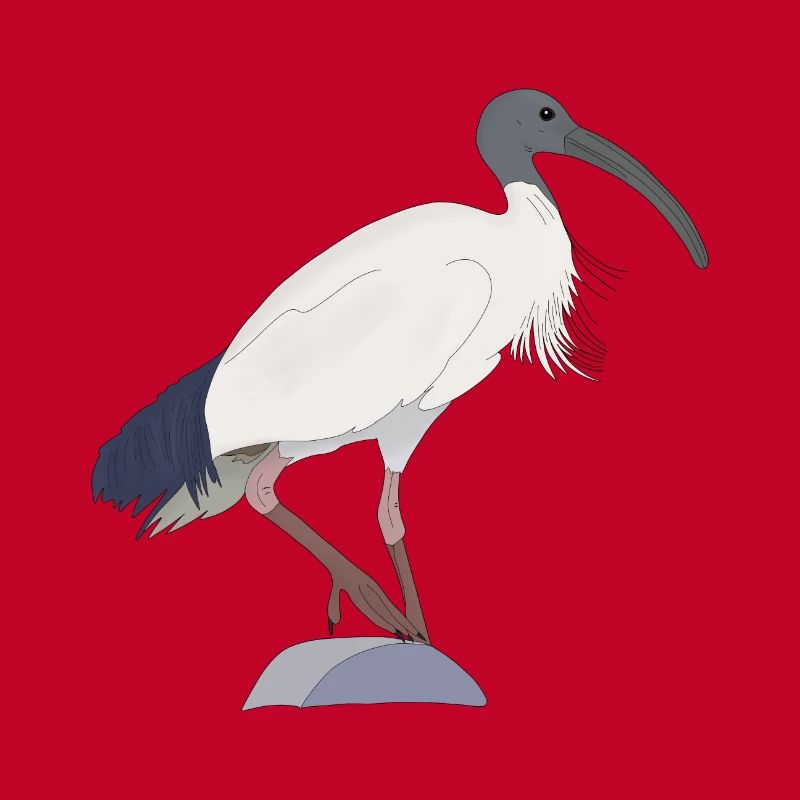 Ibis Bin Bird