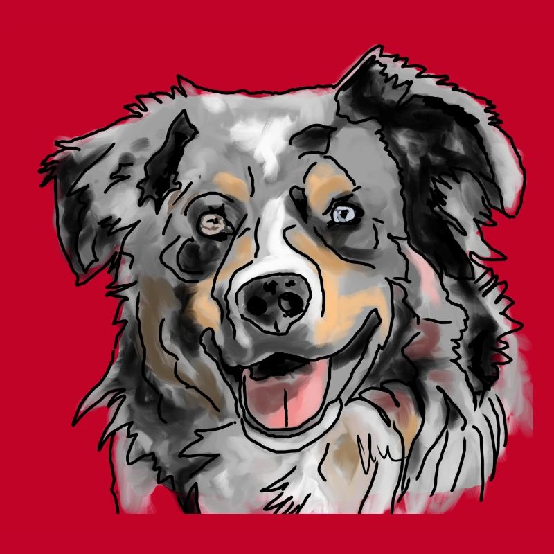 Australian Shepherd