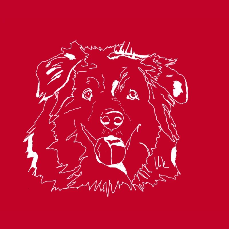 Australian Shepherd