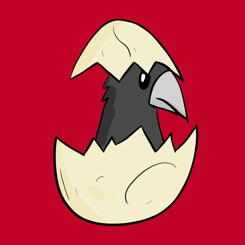 Bébé corbeau