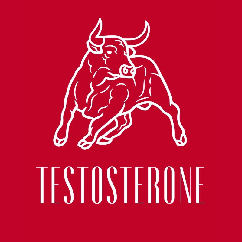 Testosteron Bull Strength Gym Mindset Tee