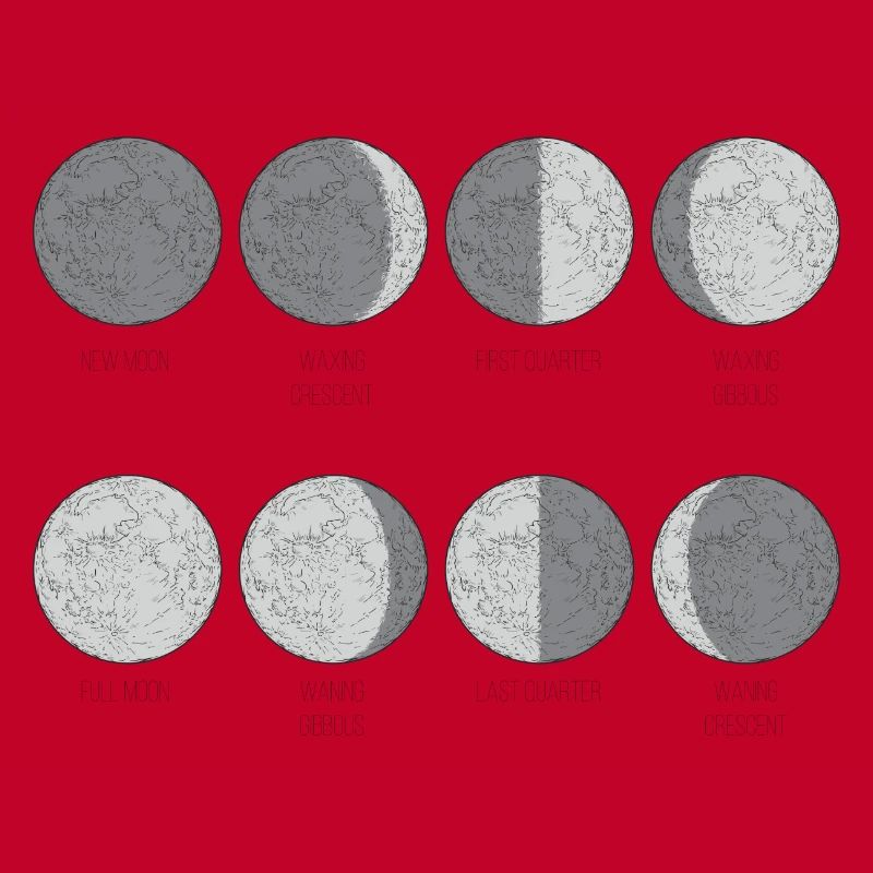 Grille monochrome des phases de lune