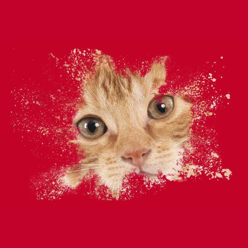 Chat orange avec éclaboussure d’aquarelle