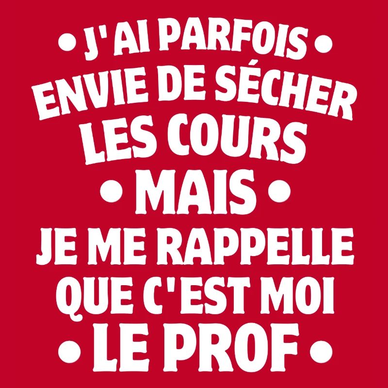 professeur, enseignant, je suis professeur