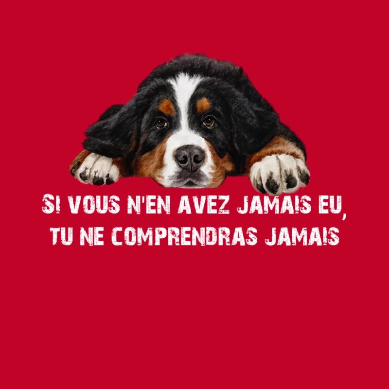 Bernese mountain dog