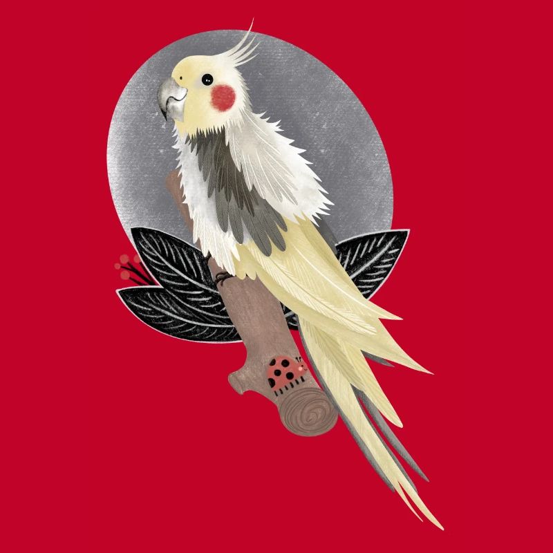 illustration de cacatoès calopsitte