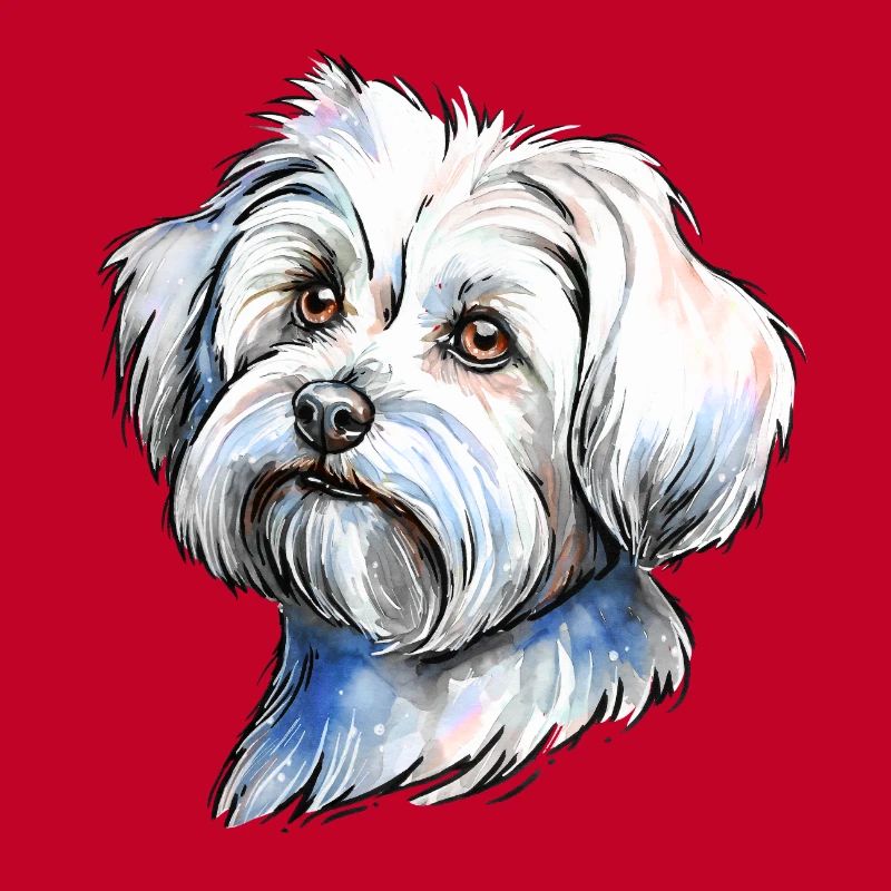 Portrait de bichon maltais