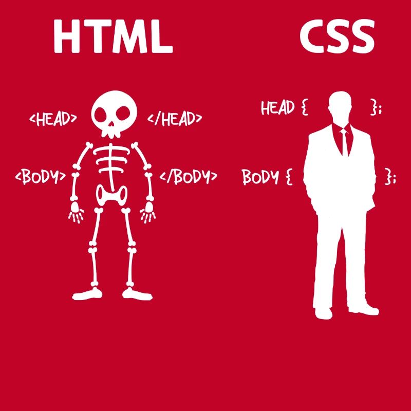 Code Css C++ Php Java Développeur Code Scripting