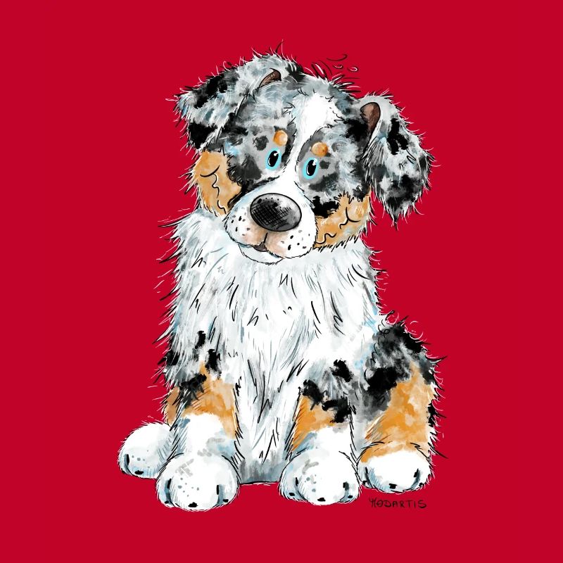 Australian Shepherd Hund Aussie
