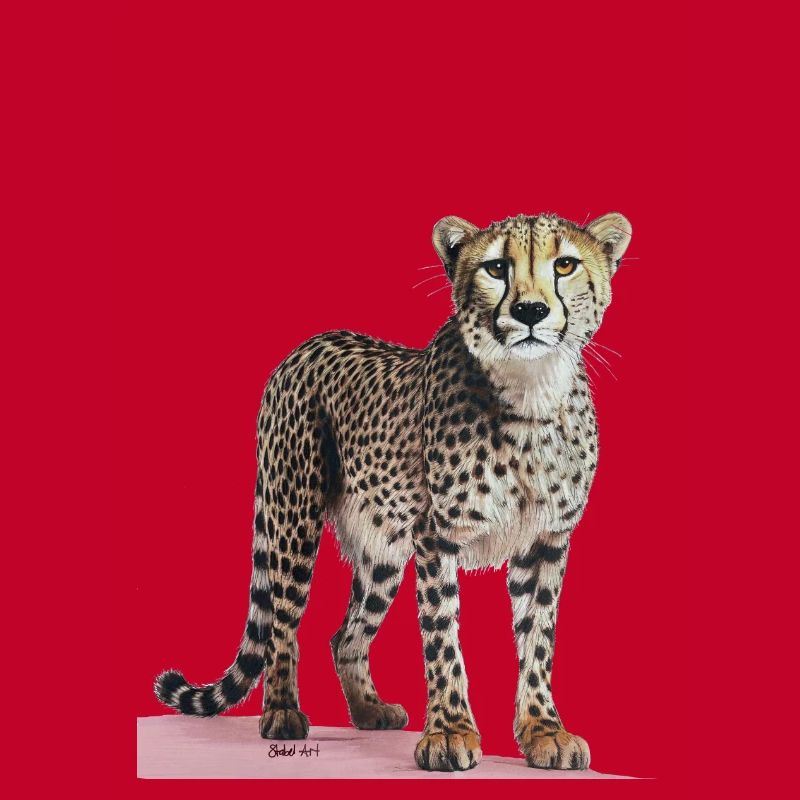 Guépard - Gepard
