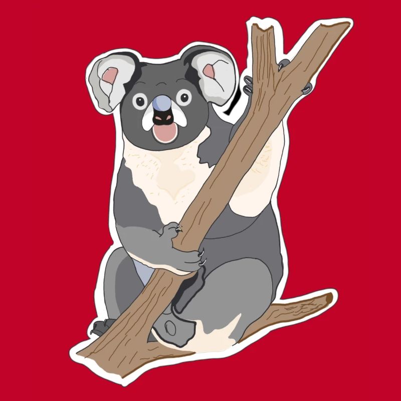 Koala Koala Bear