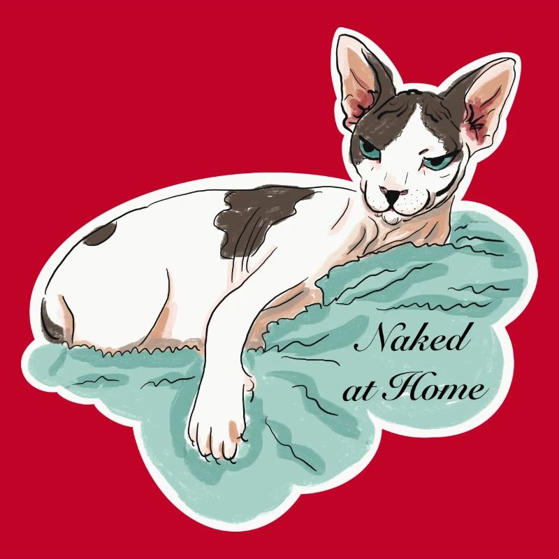 Sphynx nu à la maison