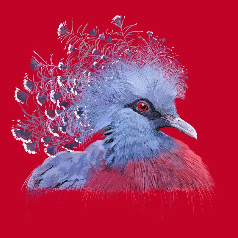 Pigeon couronné