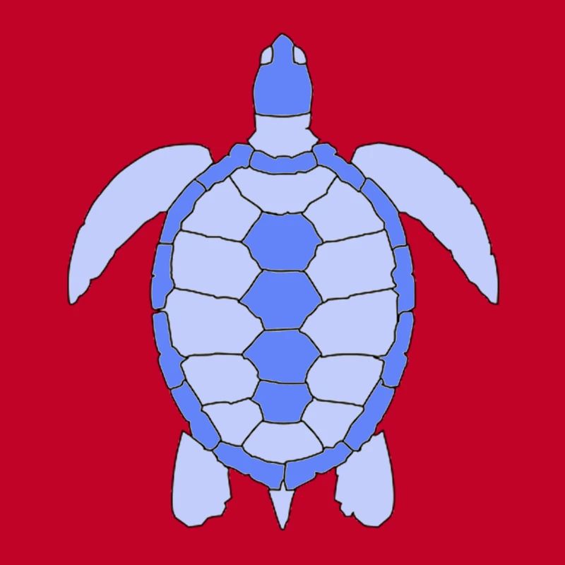 Tortue
