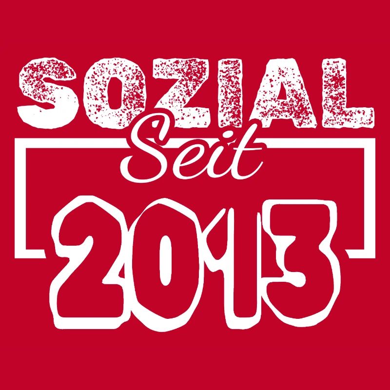 seit 2013