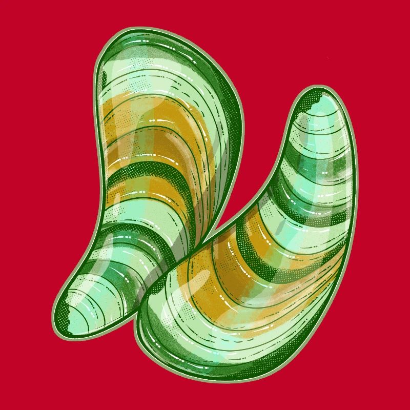 Illustration de moules à lèvres vertes