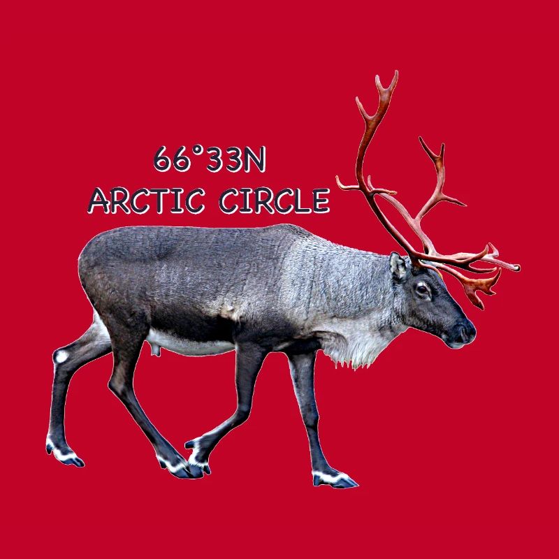 Arctic Circle