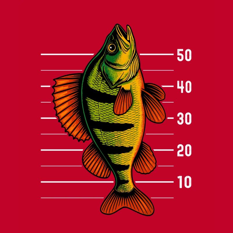 Barsch Flussbarsch Barsche Barsch Köder