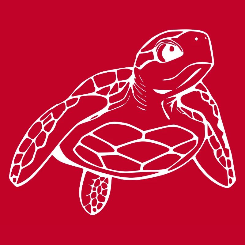Turtle Turtles