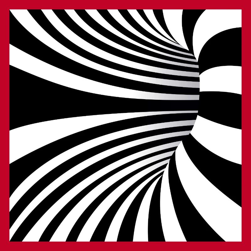 Ondes Noir et Blanc Hypnotiques