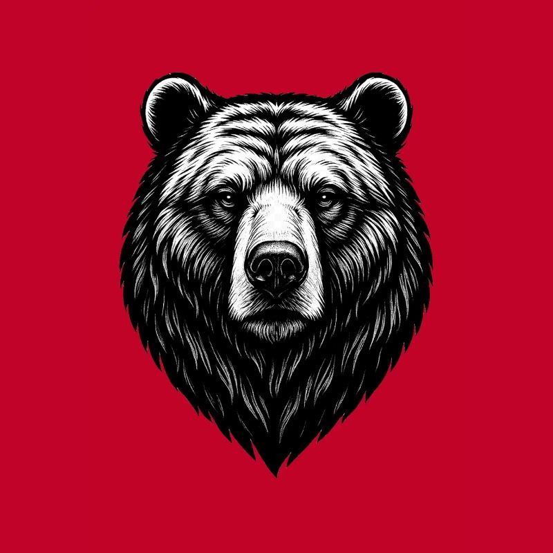 Bear Head Line Drawing Black & White