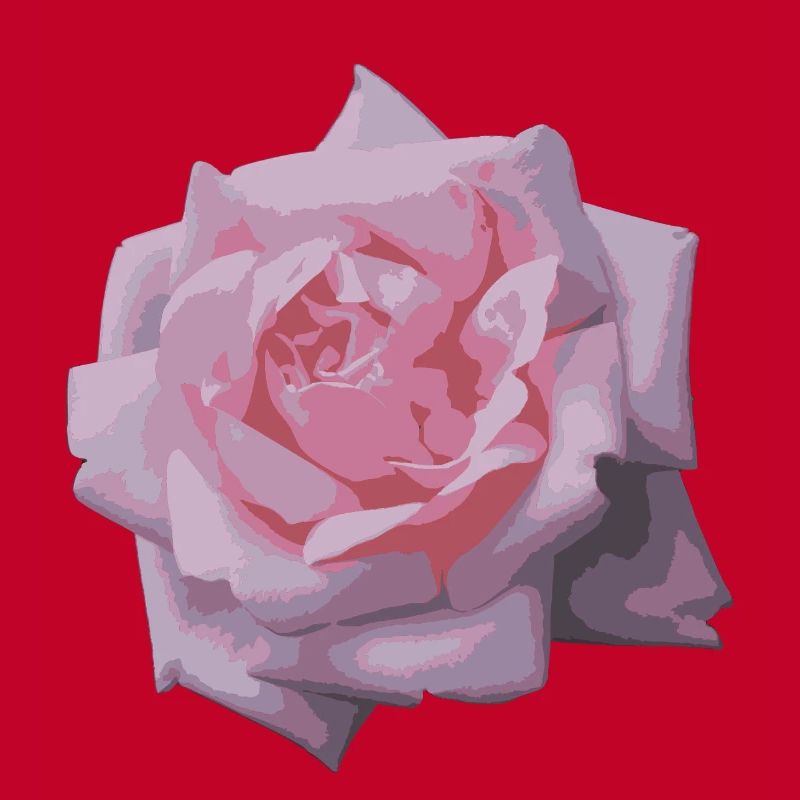 rose