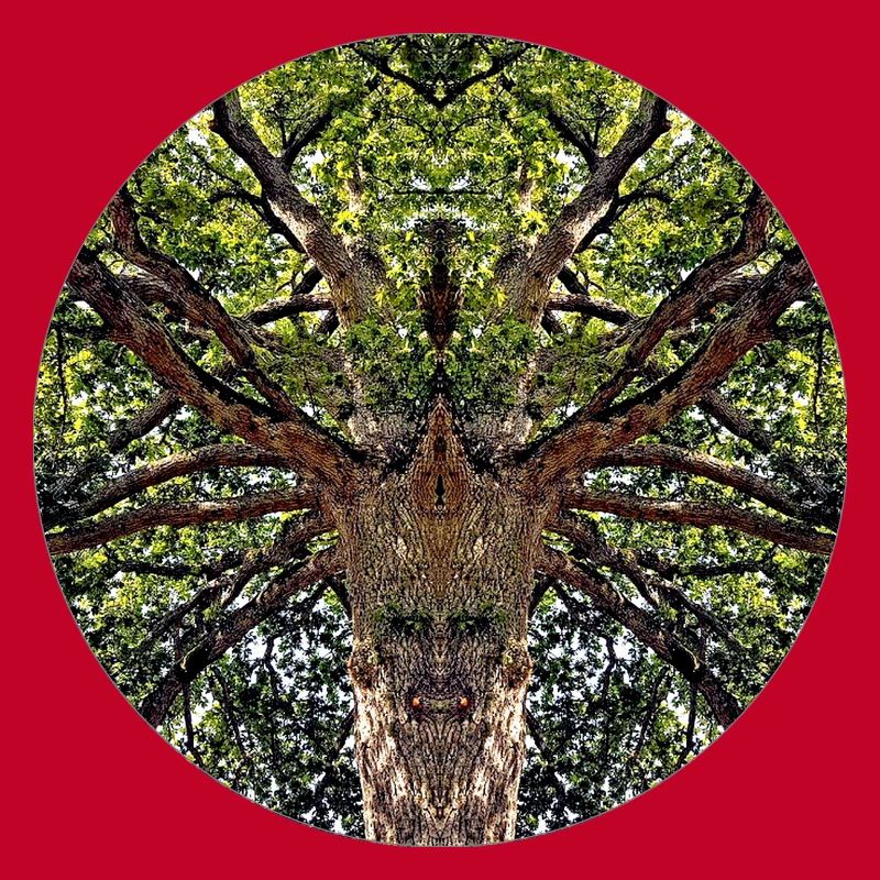 Nature creatures in treetop