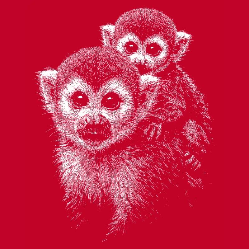 Squirrel monkey