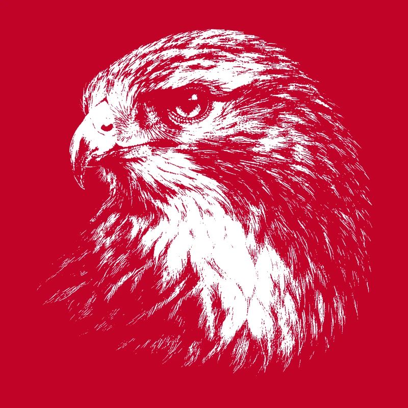Falcon – graphismes au crayon blanc