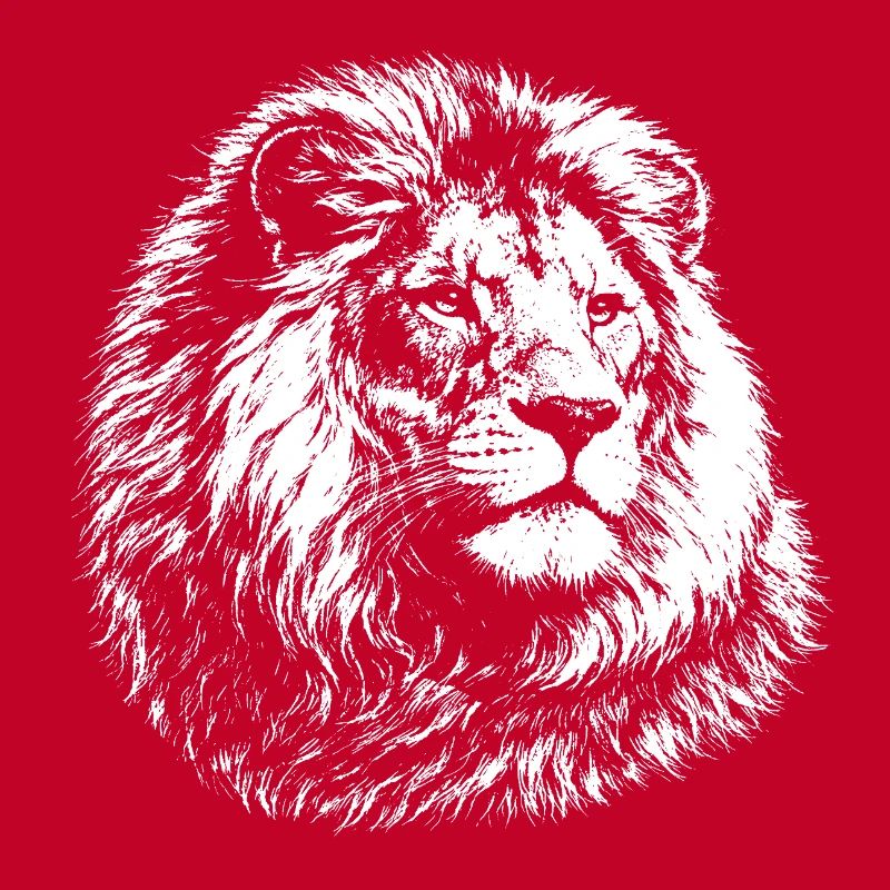 Leo – realistic black and white graphics