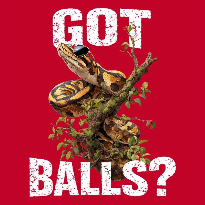 Python roi Serpents Amateurs de terrarium Python