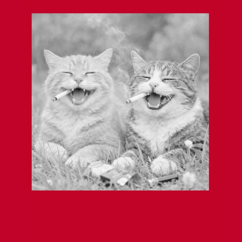 Drôle de design de chat