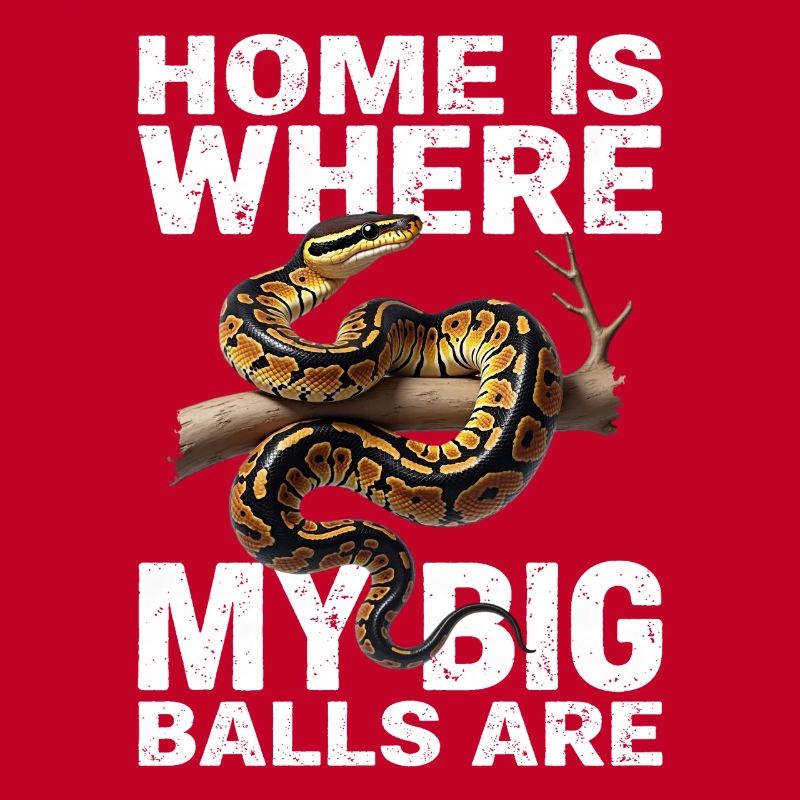 Python roi Serpents Amateurs de terrarium Python