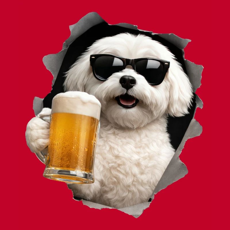 Maltesisches Bier