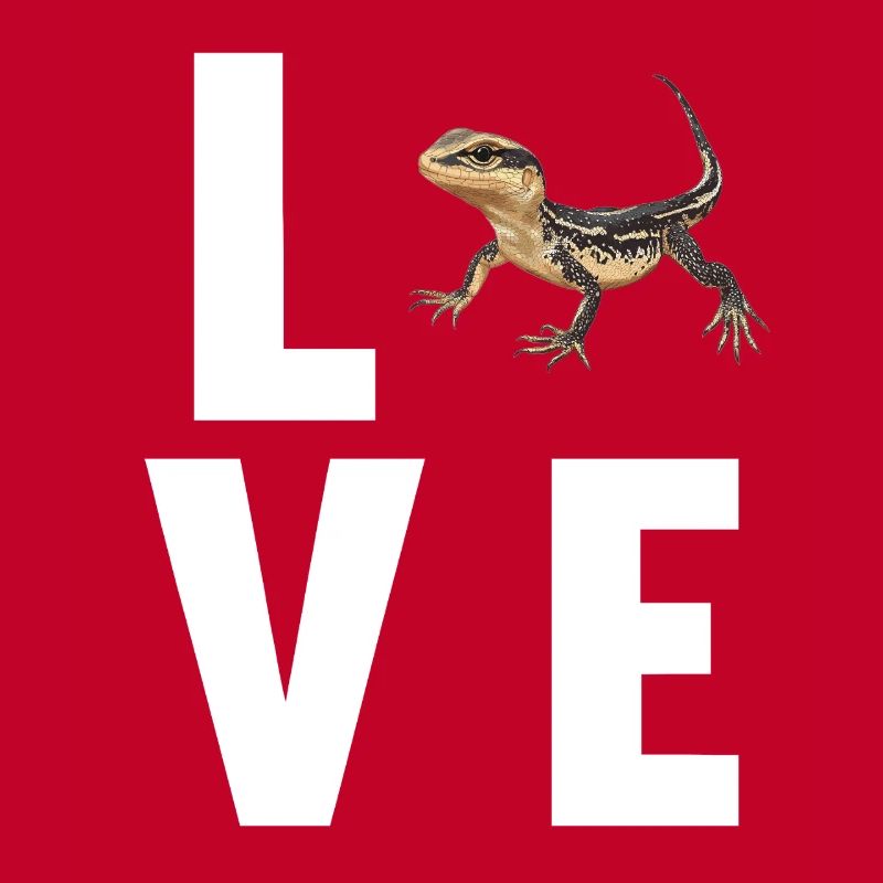 Lizards Lizard
