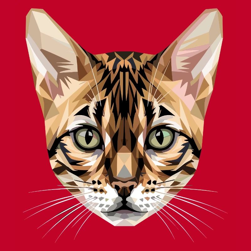 Bengal Katze Leopard Cat Leopardette Bengal Katzen