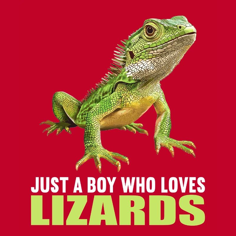 Lizards Lizard