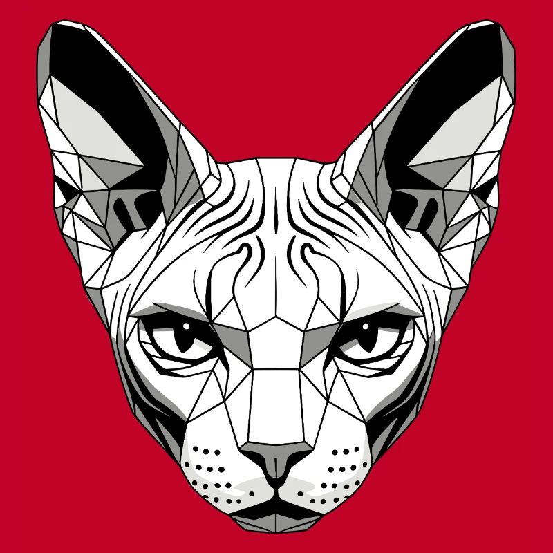 Sphynx Chat Sphynx Chat Chat Canadien Sphinx mignon