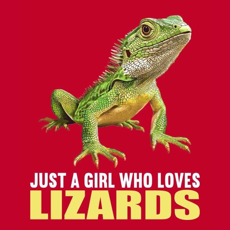 Lizards Lizard