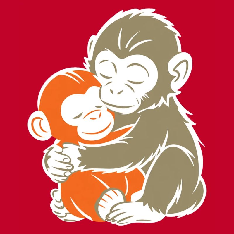 Hugging Monkey Duo