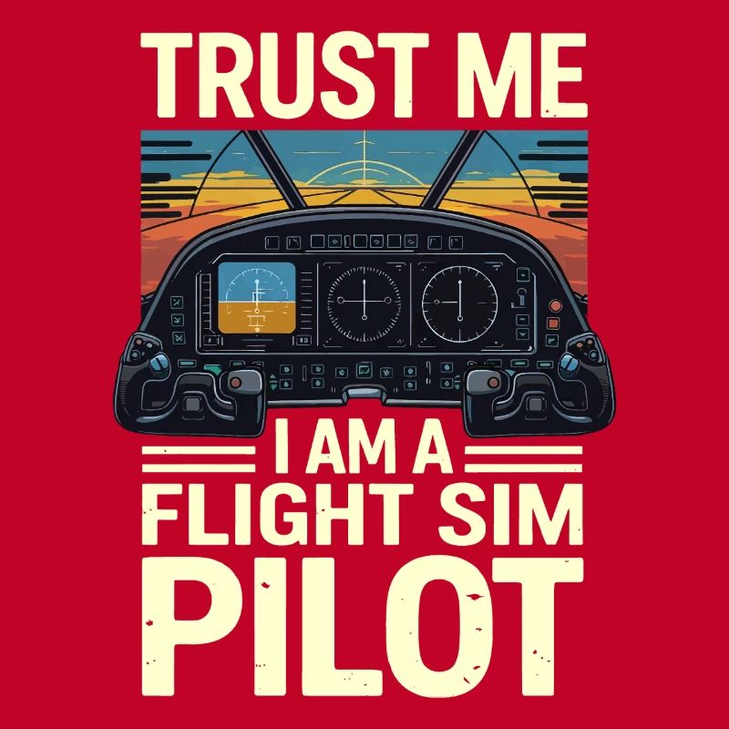 Vertrau mir ich bin ein Flugsimulatorpilot