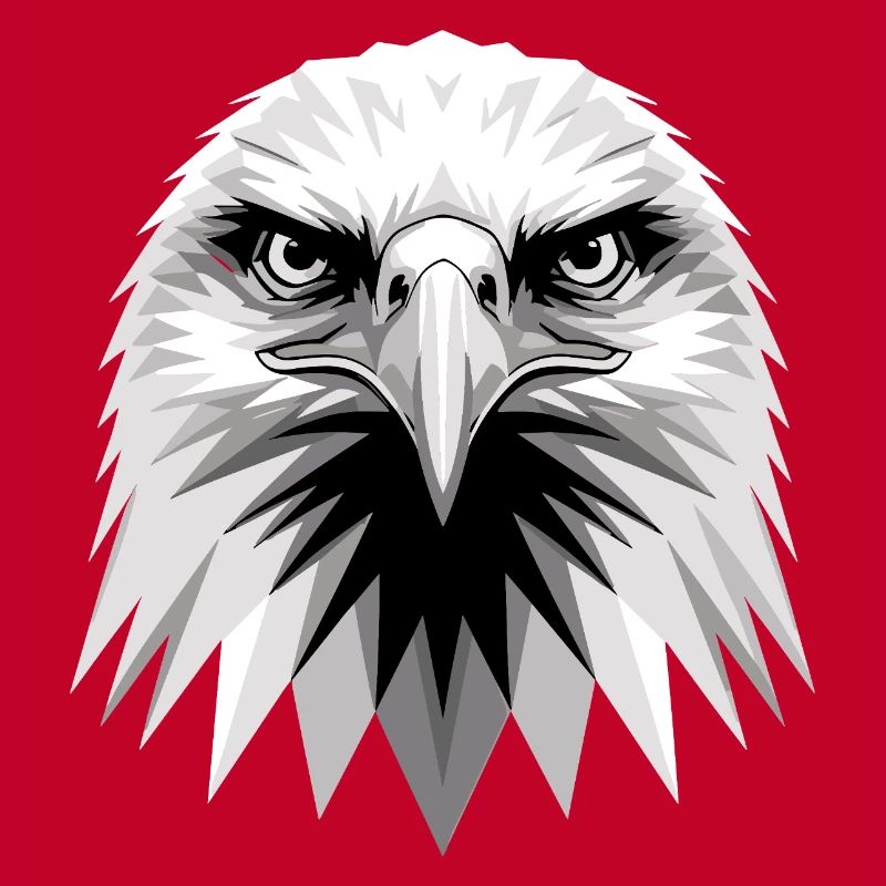 Eagle Bald Eagle Golden Eagle White-tailed Eagle