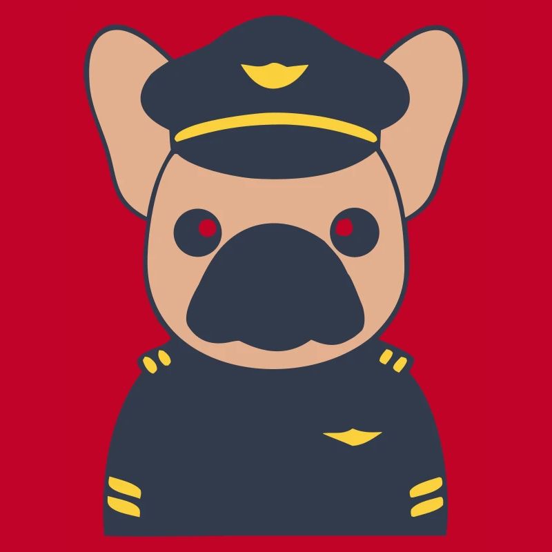 Uniforme de commandant pilote français