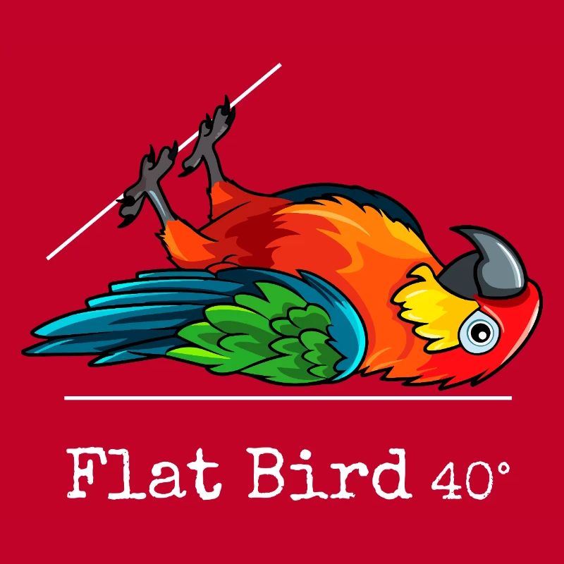 Flat Bird at 40 degrees